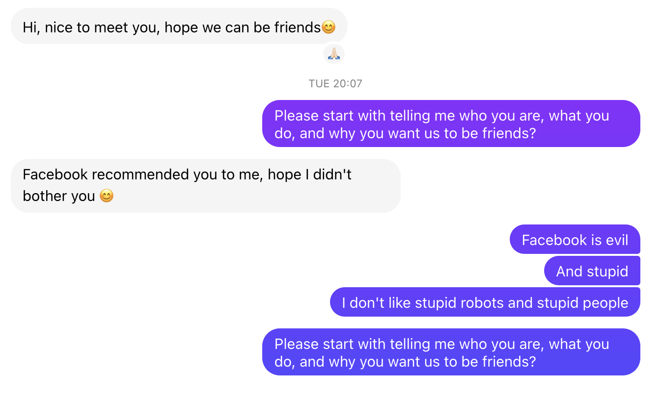 Interaction with a bot on Meta Messenger